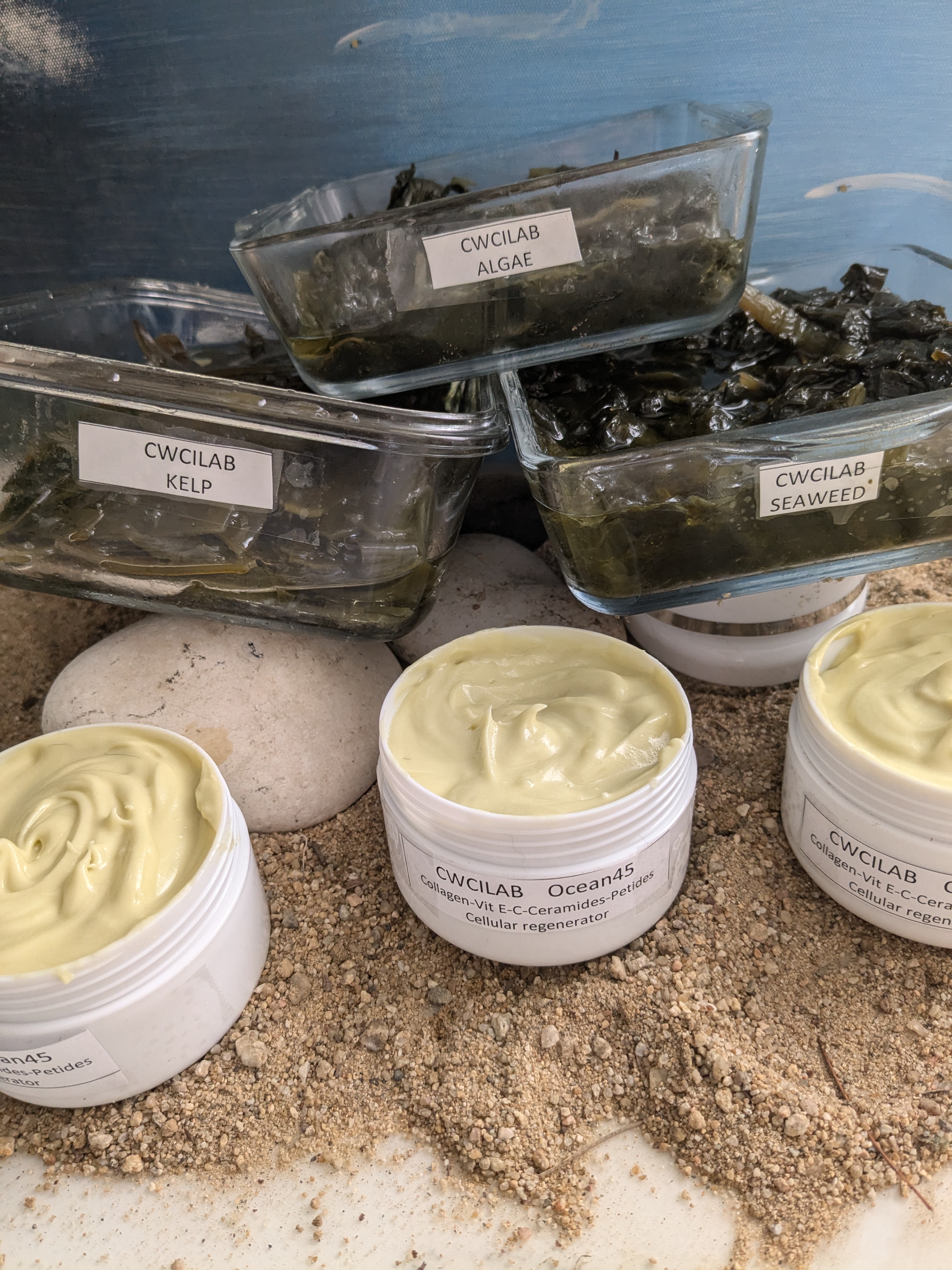 seaweed and kelp
