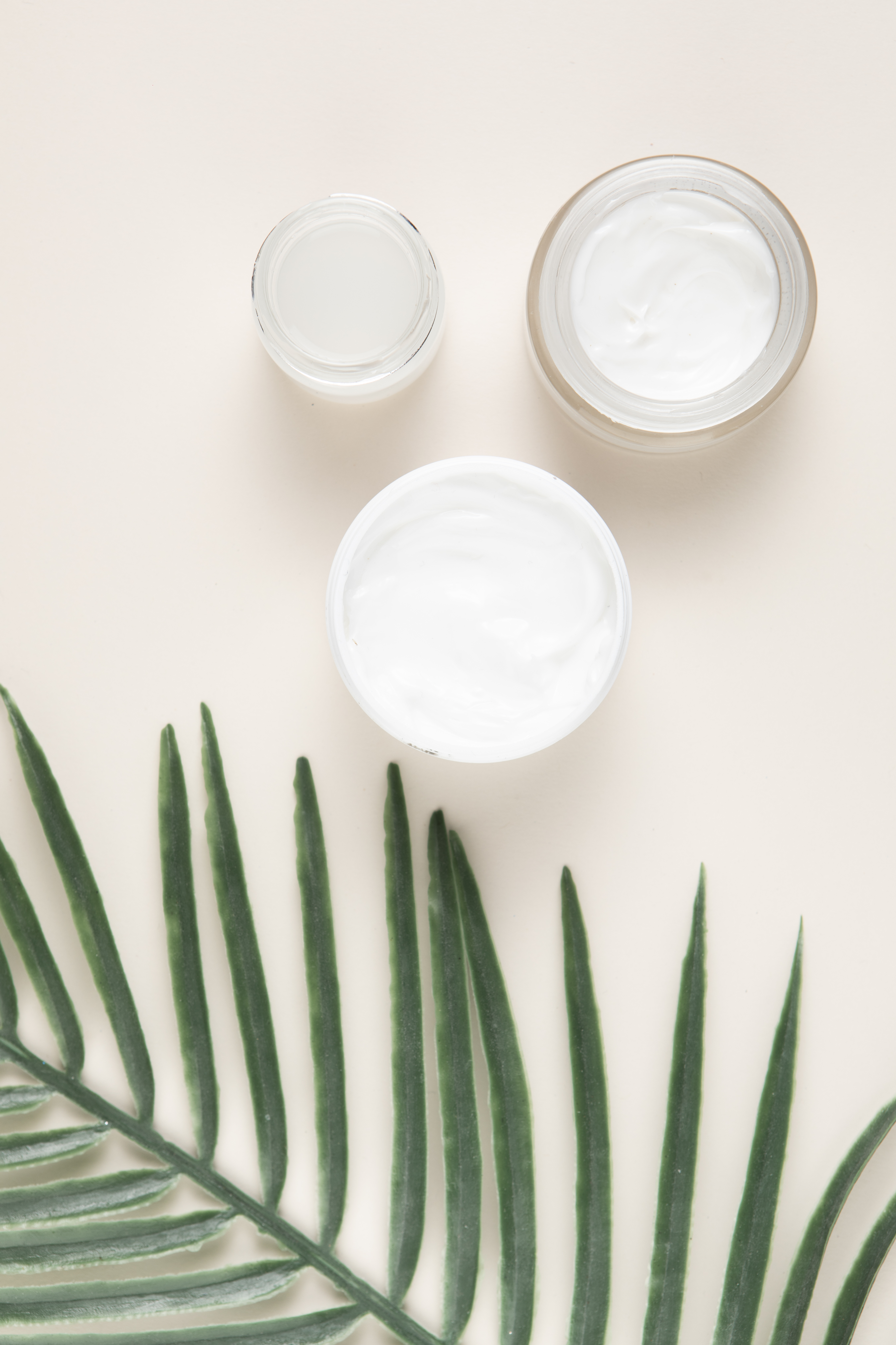 cream jar opened and green plant